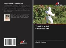 Borítókép a  Tossicità del carbendazim - hoz