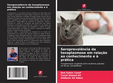 Bookcover of Seroprevalência da toxoplasmose em relação ao conhecimento e à prática