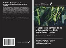 Borítókép a  Métodos de control de la antracnosis y el tizón bacteriano común - hoz