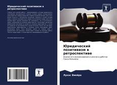Buchcover von Юридический позитивизм в ретроспективе