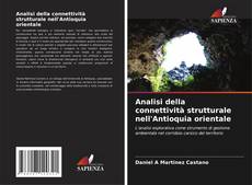 Buchcover von Analisi della connettività strutturale nell'Antioquia orientale