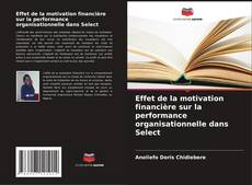 Buchcover von Effet de la motivation financière sur la performance organisationnelle dans Select