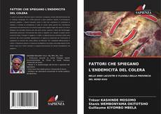 Buchcover von FATTORI CHE SPIEGANO L'ENDEMICITÀ DEL COLERA