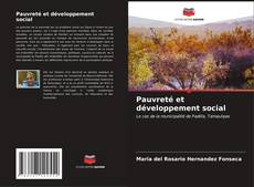 Buchcover von Pauvreté et développement social