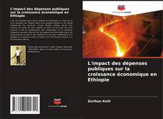 Buchcover von L'impact des dépenses publiques sur la croissance économique en Ethiopie