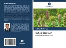 Capa do livro de Süßes Sorghum 