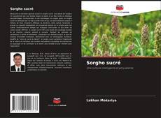 Bookcover of Sorgho sucré
