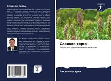 Buchcover von Сладкое сорго