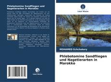 Buchcover von Phlebotomine Sandfliegen und Nagetierarten in Marokko