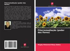 Buchcover von Fitorremediação (poder das flores)