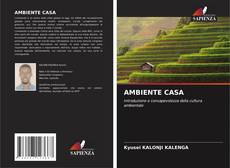 Copertina di AMBIENTE CASA