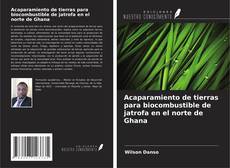 Acaparamiento de tierras para biocombustible de jatrofa en el norte de Ghana kitap kapağı