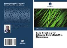 Buchcover von Land Grabbing für Jatropha-Biokraftstoff in Nordghana