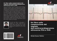 Un libro sulla compressione del segnale dell'elettrocardiogramma attraverso PCA e SVD kitap kapağı
