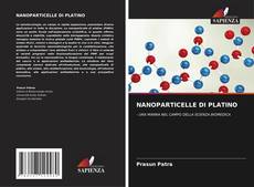 NANOPARTICELLE DI PLATINO kitap kapağı