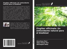 Обложка Zingiber officinale: Un antioxidante natural para el biodiésel