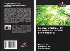 Zingiber officinale: Un antiossidante naturale per il biodiesel kitap kapağı