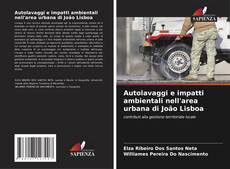 Autolavaggi e impatti ambientali nell'area urbana di João Lisboa kitap kapağı