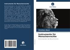 Bookcover of Instrumente für Menschenrechte
