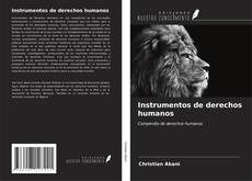 Buchcover von Instrumentos de derechos humanos