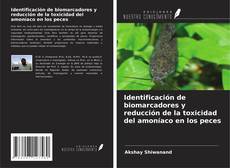 Couverture de Identificación de biomarcadores y reducción de la toxicidad del amoníaco en los peces