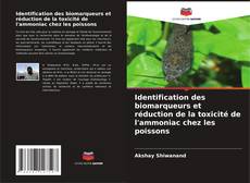 Buchcover von Identification des biomarqueurs et réduction de la toxicité de l'ammoniac chez les poissons