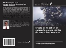 Borítókép a  Efecto de la cal en el comportamiento técnico de las cenizas volantes - hoz