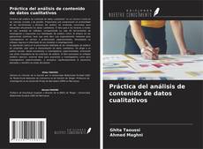 Buchcover von Práctica del análisis de contenido de datos cualitativos