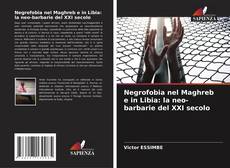 Negrofobia nel Maghreb e in Libia: la neo-barbarie del XXI secolo的封面