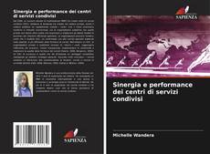 Sinergia e performance dei centri di servizi condivisi kitap kapağı