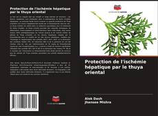 Обложка Protection de l'ischémie hépatique par le thuya oriental