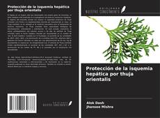 Protección de la isquemia hepática por thuja orientalis kitap kapağı