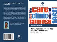 Bookcover of Hämangioperizytom des großen Omentums