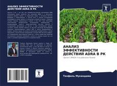 Bookcover of АНАЛИЗ ЭФФЕКТИВНОСТИ ДЕЙСТВИЙ ADRA В РК