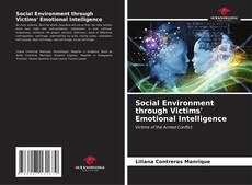 Capa do livro de Social Environment through Victims' Emotional Intelligence 