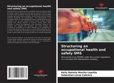 Portada del libro de Structuring an occupational health and safety SMS