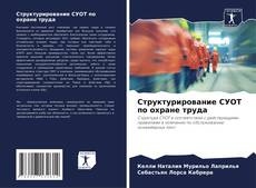 Capa do livro de Структурирование СУОТ по охране труда 
