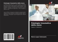 Capa do livro de Patologia traumatica della mano 