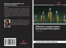 Efficient compensation and productivity gains kitap kapağı