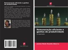 Bookcover of Remuneração eficiente e ganhos de produtividade
