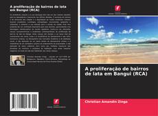 Copertina di A proliferação de bairros de lata em Bangui (RCA)