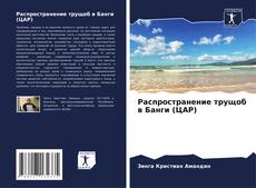 Buchcover von Распространение трущоб в Банги (ЦАР)