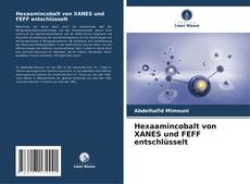 Buchcover von Hexaamincobalt von XANES und FEFF entschlüsselt