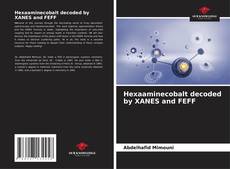 Hexaaminecobalt decoded by XANES and FEFF kitap kapağı