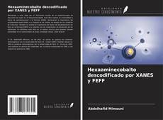 Hexaaminecobalto descodificado por XANES y FEFF kitap kapağı