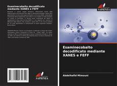 Capa do livro de Esaminecobalto decodificato mediante XANES e FEFF 