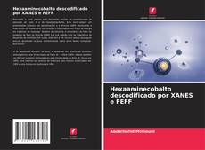 Обложка Hexaaminecobalto descodificado por XANES e FEFF