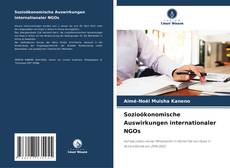 Bookcover of Sozioökonomische Auswirkungen internationaler NGOs