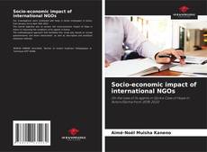 Capa do livro de Socio-economic impact of international NGOs 