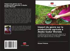 Couverture de Impact du genre sur la productivité agricole à Ababo Gudur Woreda